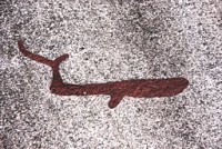 /album/selma-rocks/tanum-1-vitlycke-id-10160600010001-img-8519-jpg/